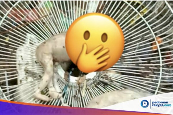 Respon Walikota Makassar dengan Penemuan Bayi di Drainase