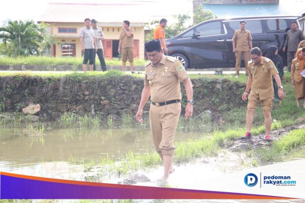 Lewati Lumpur di Persawahan, Bupati Barru Temui Korban Angin Kencang