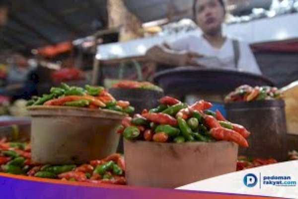 Makin Pedas, Harga Cabai Rawit Tembus Rp80 Ribu per Kg