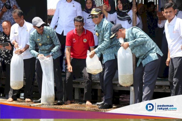 Di Rumah Terapung, Gubernur Nurdin Abdullah Lepas Ribuan Ikan Nila di Danau Tempe