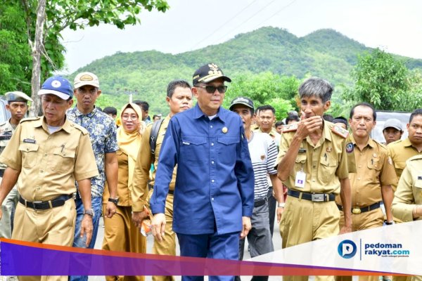 Varietas Jagung Baru Asal Sulsel Dinamai NA1-NA2, Nurdin Abdullah Sudah Tanam di Bantaeng saat Bupati