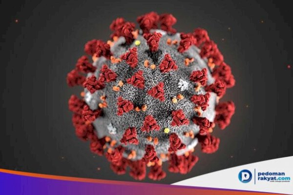 Sampai Sekarang Ini, Sudah 19 Orang Terjangkit Virus Corona di Malaysia