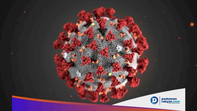 Sampai Sekarang Ini, Sudah 19 Orang Terjangkit Virus Corona di Malaysia