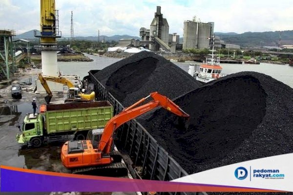 Hati-hati Bisnis Batu Bara, di Parepare Puluhan Warga Hilang Uangnya hingga Ratusan Juta
