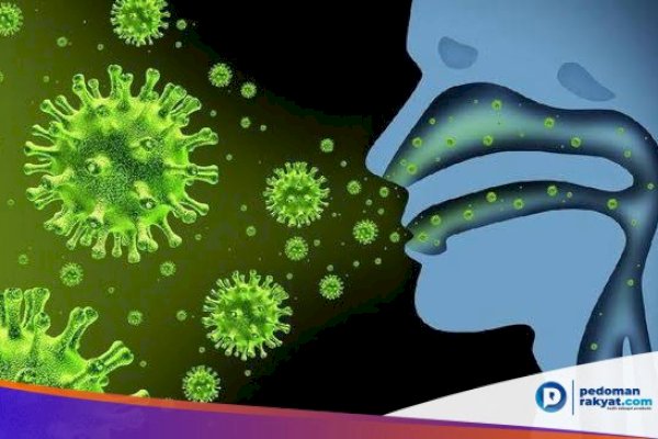 Korban Meninggal Virus Corona Capai 2.461 Jiwa