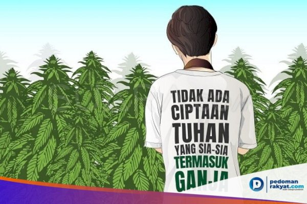 Peneliti Ungkap Ganja Berpotensi Bisa Tangkal Virus Korona