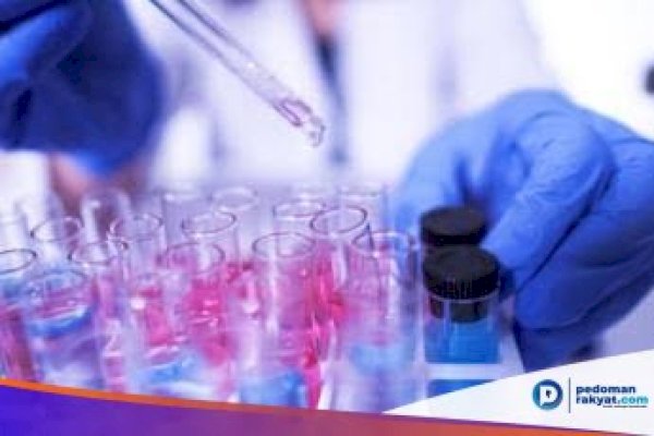 Pulang ke Jeneponto, Karyawati dari Makassar Dinyatakan Positif Korona