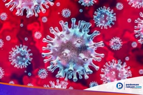 Update Covid-19 Tembus 11.192 Positif, Sehari Sembuh 211 Orang