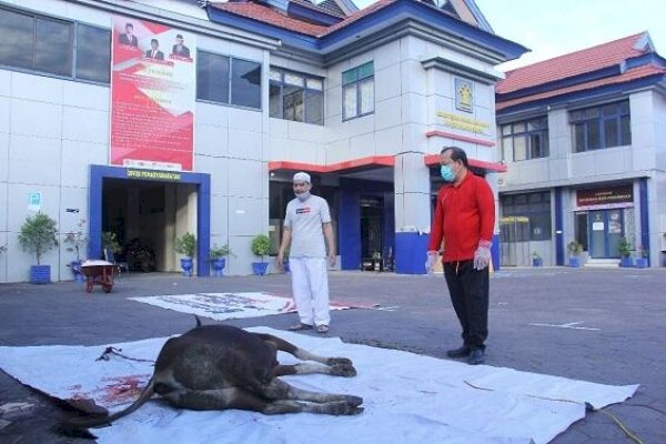 Pegawai Kemenkumham Sulsel Sembelih 11 Ekor Sapi