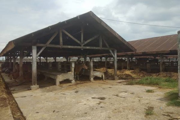 Dewan Kota Makassar Tolak Pembekuan RPH, Ini Alasannya