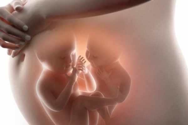 Tips Bagi Pasangan Ingin Memiliki Anak Kembar, Posisi Seks Salah Satunya