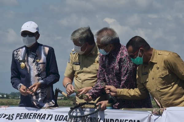 Begini Strategi Gubernur Nurdin Kembalikan Budidaya Udang Sitto Pinrang