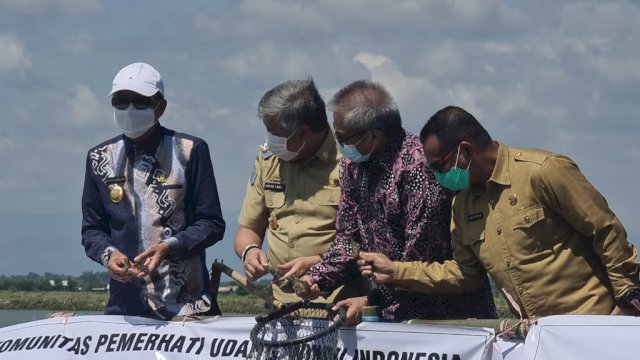 Gubernur Sulsel Nurdin Abdullah panen udang sitto di Kabupaten Pinrang