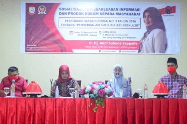 Sosialisasi Perda, Andi Suhada Bahas Manfaat ASI Eksklusif