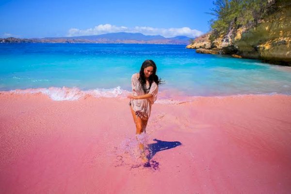 Asal Usul Kenapa Pasir Pink Beach di Flores, NTT Berwarna Merah Muda?