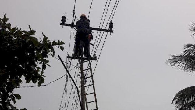 PLN Sulselrabar Pulihkan 463 Gardu Distribusi Listrik yang Terdampak Gempa di Majene