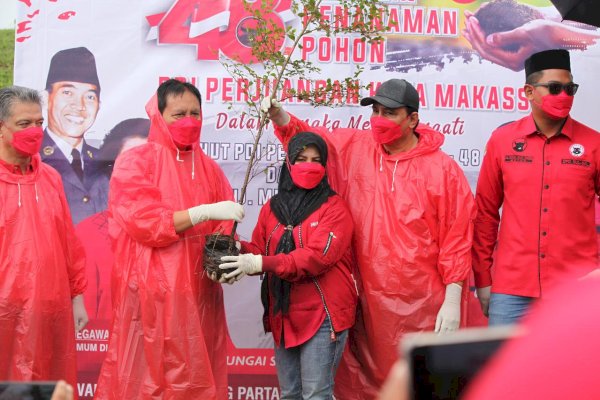 Kado Ultah Megawati dan Partai, PDIP Sulsel Tanam 48 Ribu Pohon