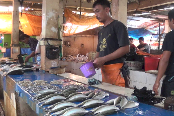Harga Ikan di Pelelangan Makassar Menurun