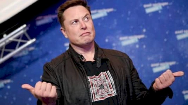 Ceo Tesla, Elon Musk