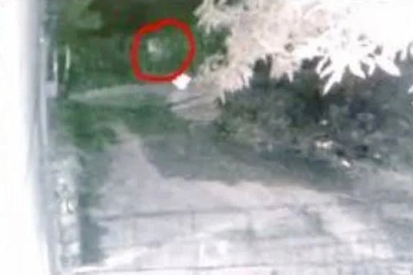 Detik-detik Pocong Lari Terbirit-birit Dikejar Anjing di Jeneponto Sulsel
