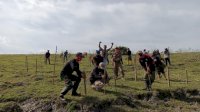 Sambut HUT Takalar, DLH Tanam Ribuan Pohon Kelor di Laikang