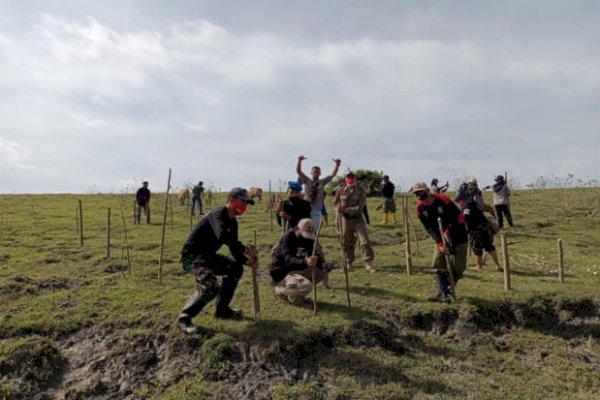 Sambut HUT Takalar, DLH Tanam Ribuan Pohon Kelor di Laikang