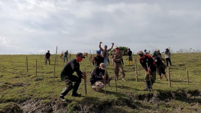 Sambut HUT Takalar, DLH Tanam Ribuan Pohon Kelor di Laikang