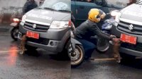 Aksi Membahayakan Pengendara Motor Hadang Ambulans karena Lihat Kucing Terjepit