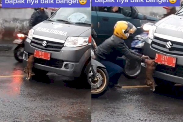 Aksi Membahayakan Pengendara Motor Hadang Ambulans karena Lihat Kucing Terjepit