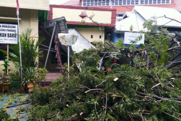 Hujan Disertai Angin Kencang, Pohon Tumbang di Samping Rujab Gubernur Sulsel
