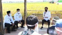 Di Depan Mentan Syahrul dan Para Petani, Jokowi: Saya Sangat Senang Harga Gabah Sudah Bagus