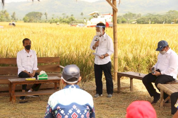 Ditemani SYL Tinjau Panen di Malang, Jokowi: Produksi Padi Memuaskan, Tidak Perlu Impor!