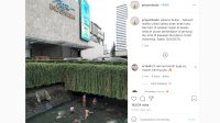 Viral Foto Anak-anak Berenang di Selokan Plaza Indonesia Jakarta, Warganet: Bahagia Adalah Kunci!