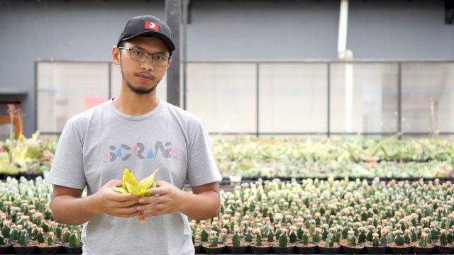 Aldy Ridwan, anak muda petani kaktus. 