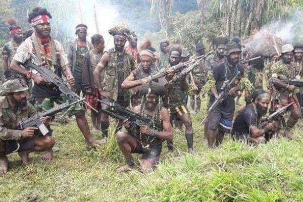 Baku Tembak dengan Satgas Nemangkawi, 5 KKB Dikabarkan Tewas