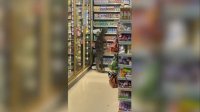 VIRAL! Biawak Raksasa Muncul Tiba-tiba di Supermarket, Lihat Endingnya