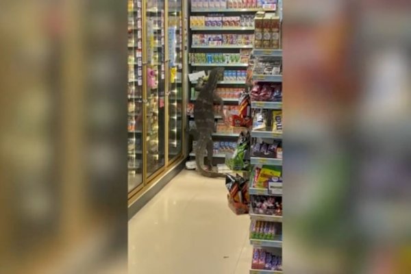 VIRAL! Biawak Raksasa Muncul Tiba-tiba di Supermarket, Lihat Endingnya