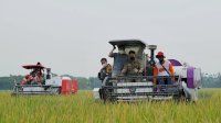 Koordinasi Food Estate Kalteng Diperkuat, Infrastruktur Terus Dibenahi