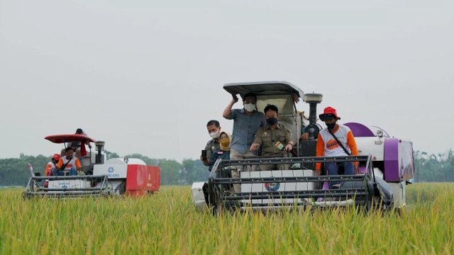 Koordinasi Food Estate Kalteng Diperkuat, Infrastruktur Terus Dibenahi