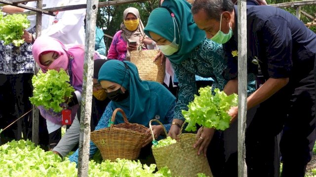 P2L Kementan Tingkatkan Kecukupan Pangan dan Gizi Masyarakat