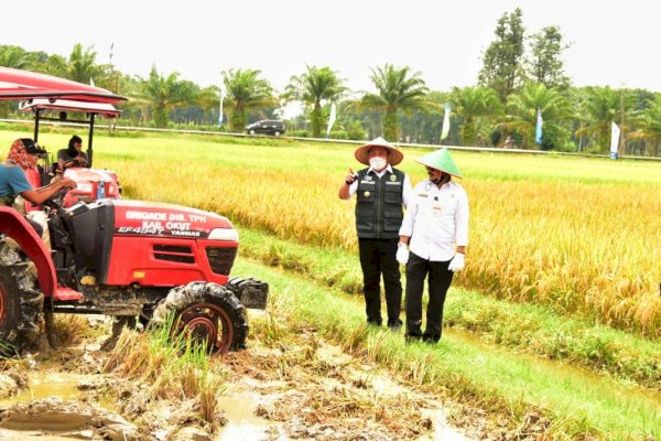 Di Sumsel, Mentan SYL Panen dan Gerakan Serap Gabah