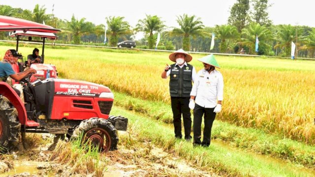 Di Sumsel, Mentan SYL Panen dan Gerakan Serap Gabah