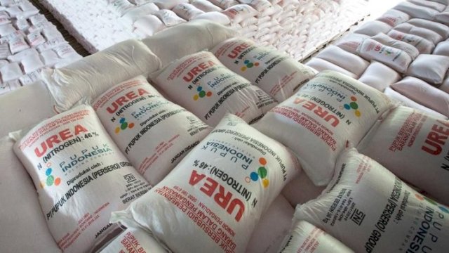 Gunakan Pupuk Secara Bijak