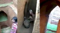 Haru Kakek di Bone Sulsel 2 Tahun Menggali Rumah di Bawah Tanah