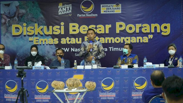 Syaharuddin Alrif Diundang ke NasDem Jatim Bicara Potensi Porang, Emas atau Fatamorgana