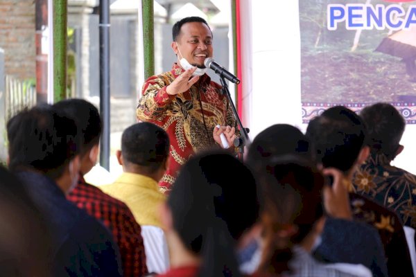 Mulai Mahoni dan Tabebuya, Plt Gubernur Sulsel Target Lebih 3.000 Pohon di Area Jalan Menuju Bandara Buntu Kunik Toraja