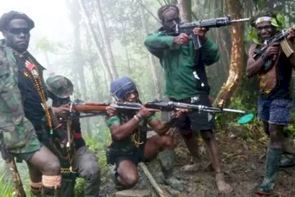 Tiga Teroris KKB di Papua Menyerahkan Diri, Begini Perannya