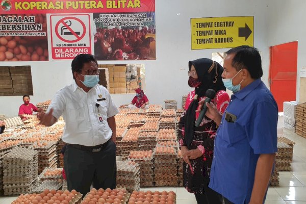 Kementan Subsidi Distribusi Untuk Stabilkan Pasokan dan Harga Jagung