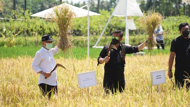 Dua Menteri Lepas Ekspor Komoditas Pertanian Senilai Rp 220,4 Miliar