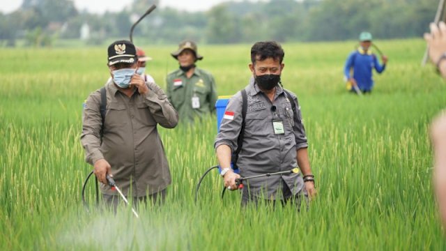 Mampu Sediakan Pangan Selama Puasa dan Lebaran, Komisi IV Apresiasi Kementan